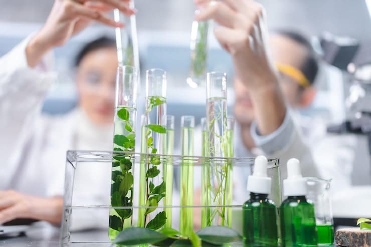 Preserving Organic Serums: Natural Alternatives to Synthetic Preservatives (OEM Solutions)