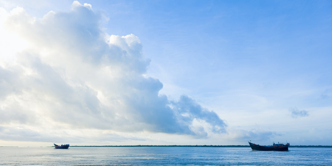 Port Congestion and Peak Season: How to Secure Space and Stay on Time