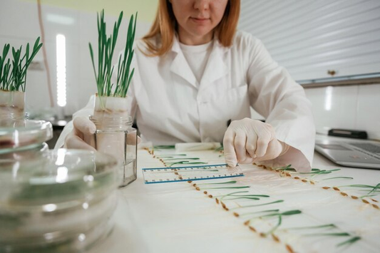 Unlocking Potential: The Role of Custom Formulation in Developing Innovative Skincare Solutions