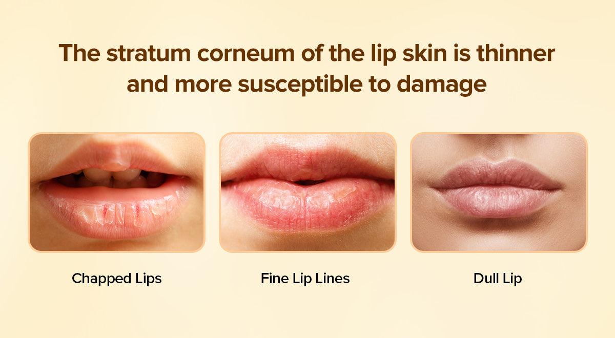 suitable for chapped lips, fine lip limes and dull lip