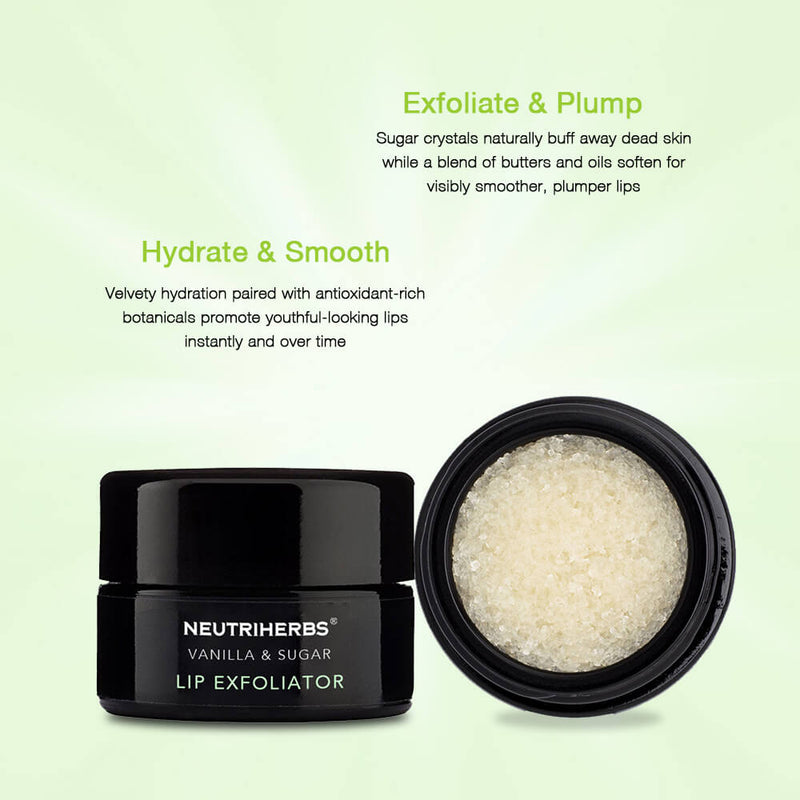Lip Scrub Bulk-Vanilla