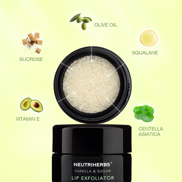 Lip Scrub Bulk-Vanilla