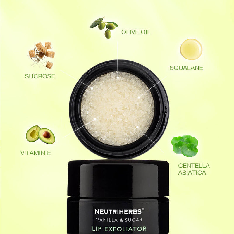 Lip Scrub Bulk-Vanilla